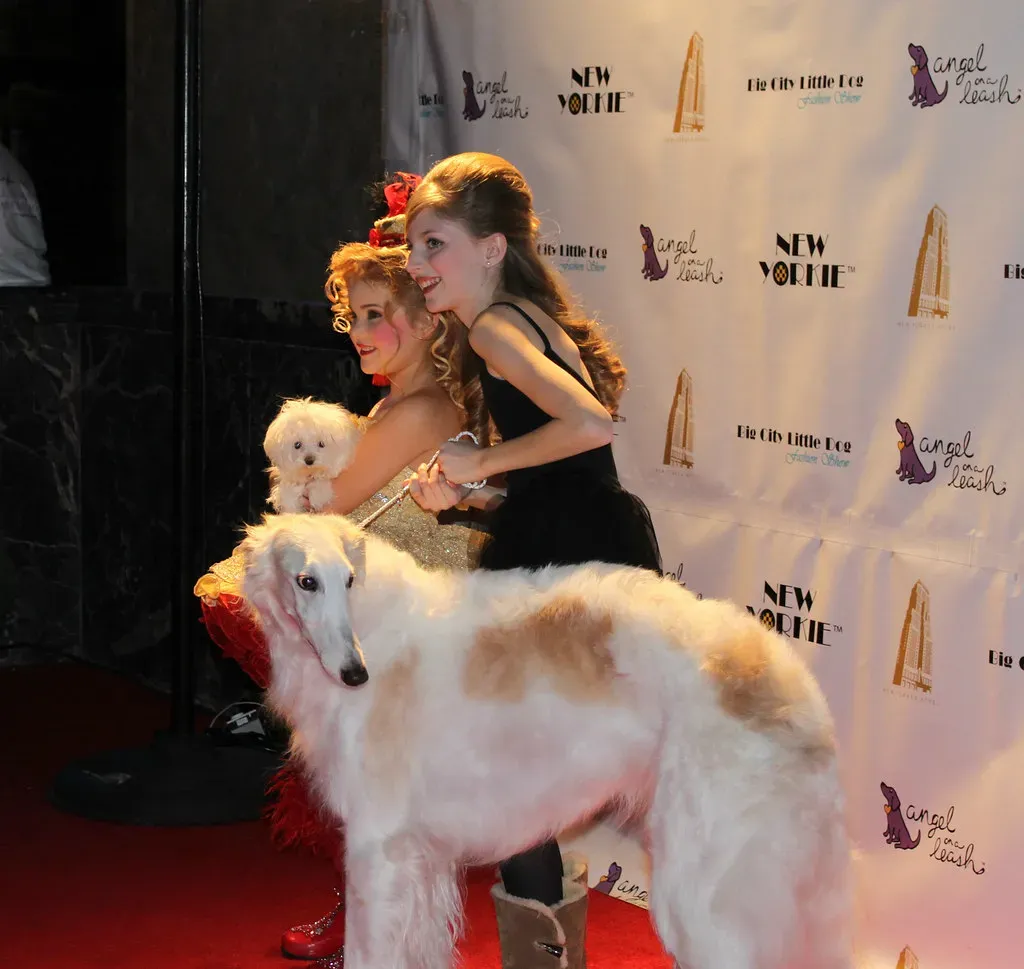 5. When You're Getting Ready for a Walk (Ferlinka Borzoi (Deb West), Flickr, CC BY 2.0)