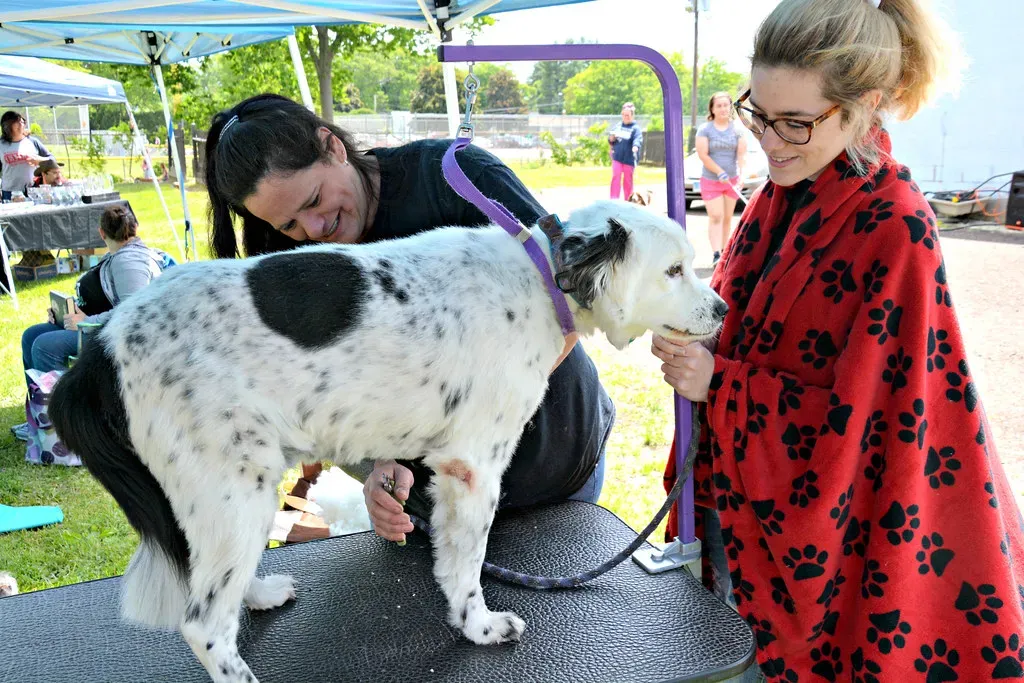 Choose Your Tools Wisely And Practice Before The Big Day (Image Credits: Flickr)