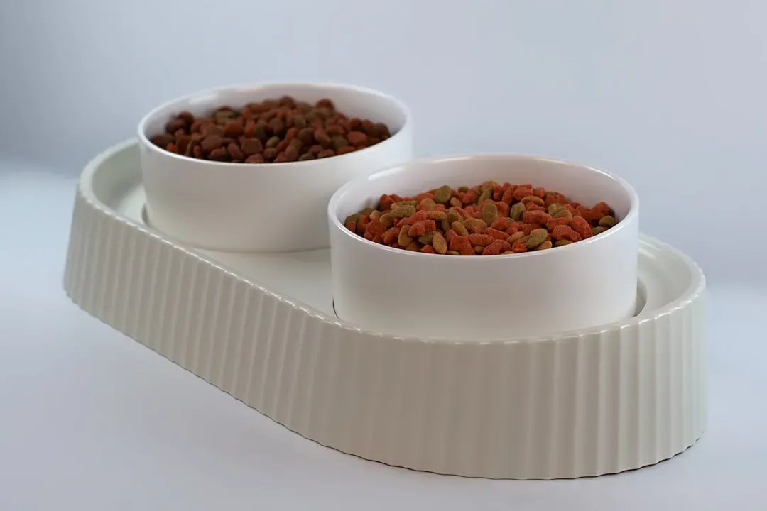 #2 - Raising Food and Water Bowls to a Pain-Free Height (Image Credits: Unsplash)