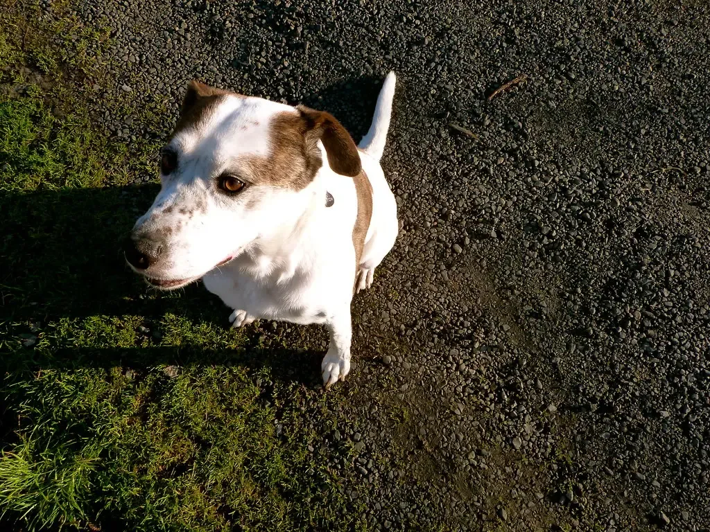 Conclusion: Patience, Understanding, and Love (Image Credits: Flickr)