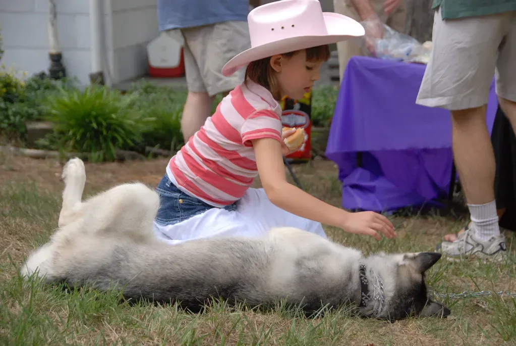 Down: Teaching Impulse Control and Relaxation (Image Credits: Flickr)