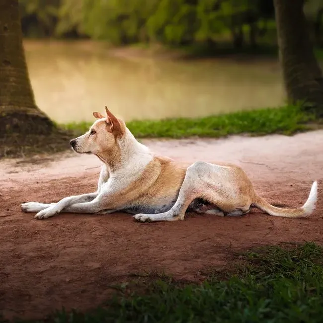 #10: Shifting Weight or Altered Posture (Image Credits: Pexels)