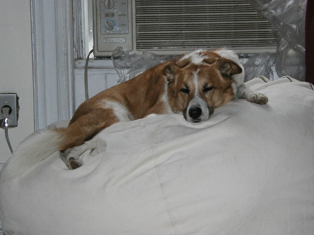 Planning for Extended Power Outages and Isolation (Image Credits: Flickr)