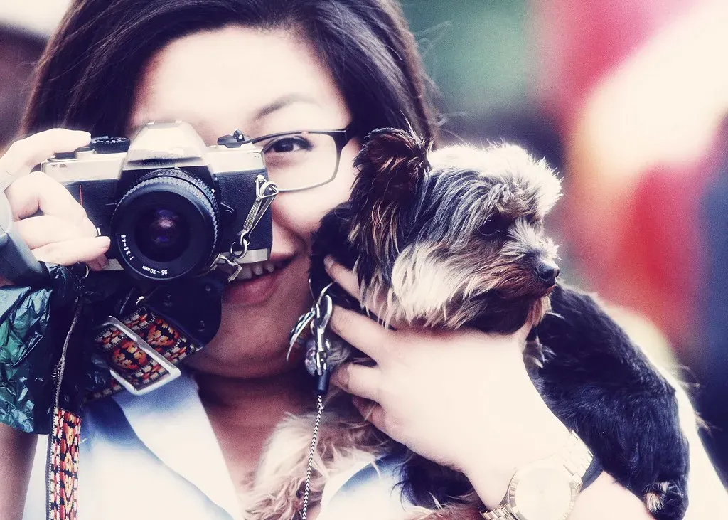 A Final Thought for Every Brave Soul Who Rescues (Image Credits: Flickr)