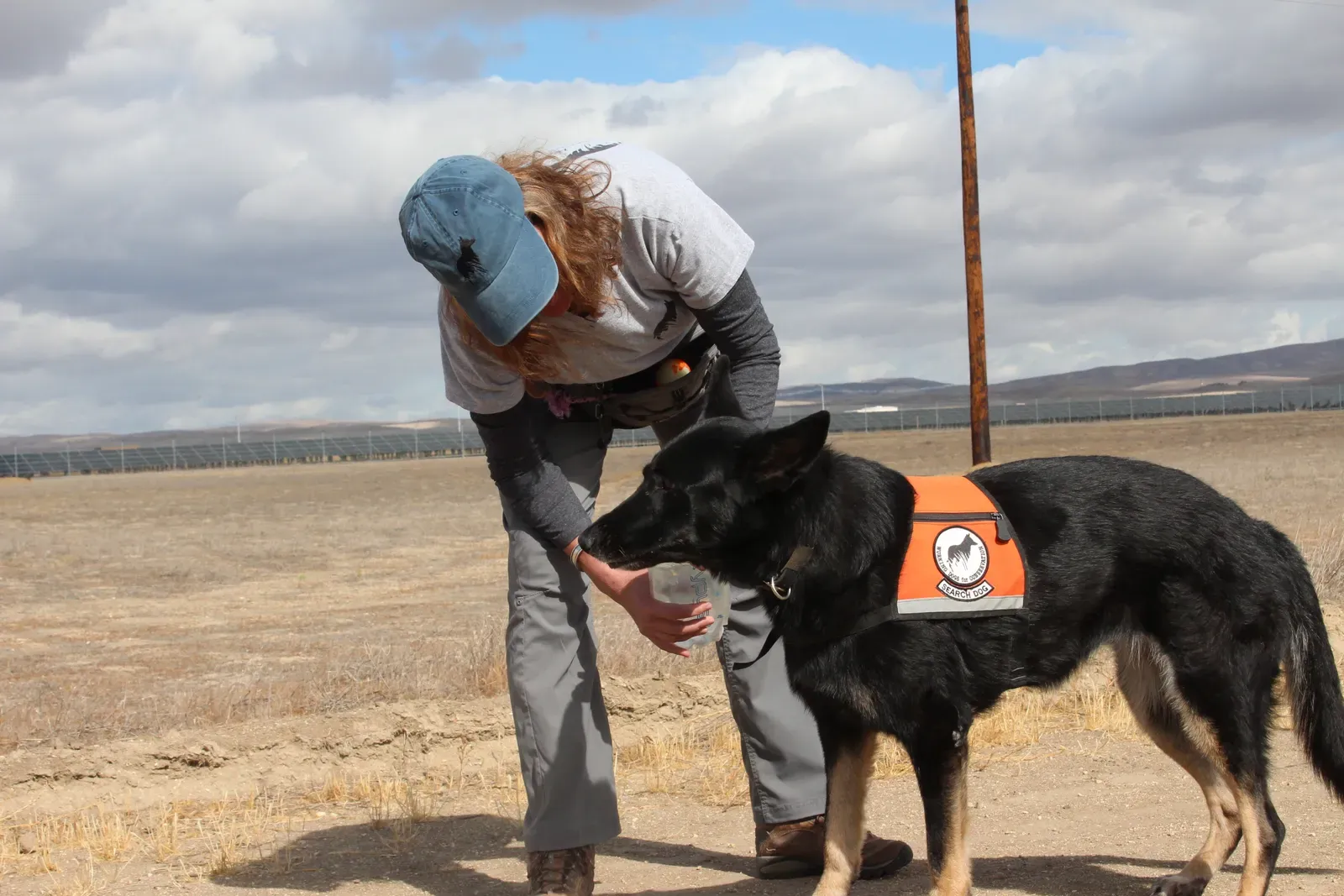 The Capricorn Temperament and What It Means for Dog Ownership (Image Credits: Wikimedia)