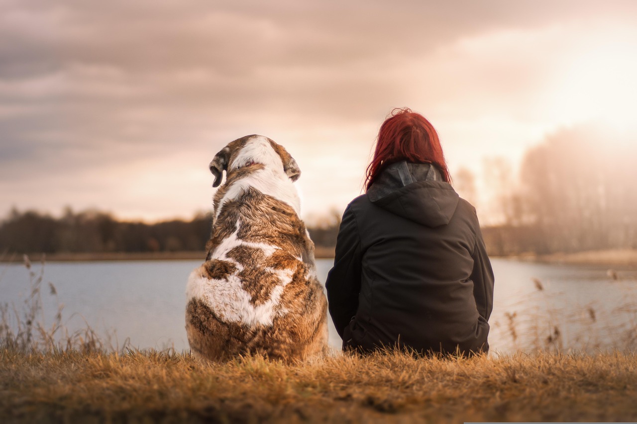Emotional Intelligence at Work (Image Credits: Pixabay)