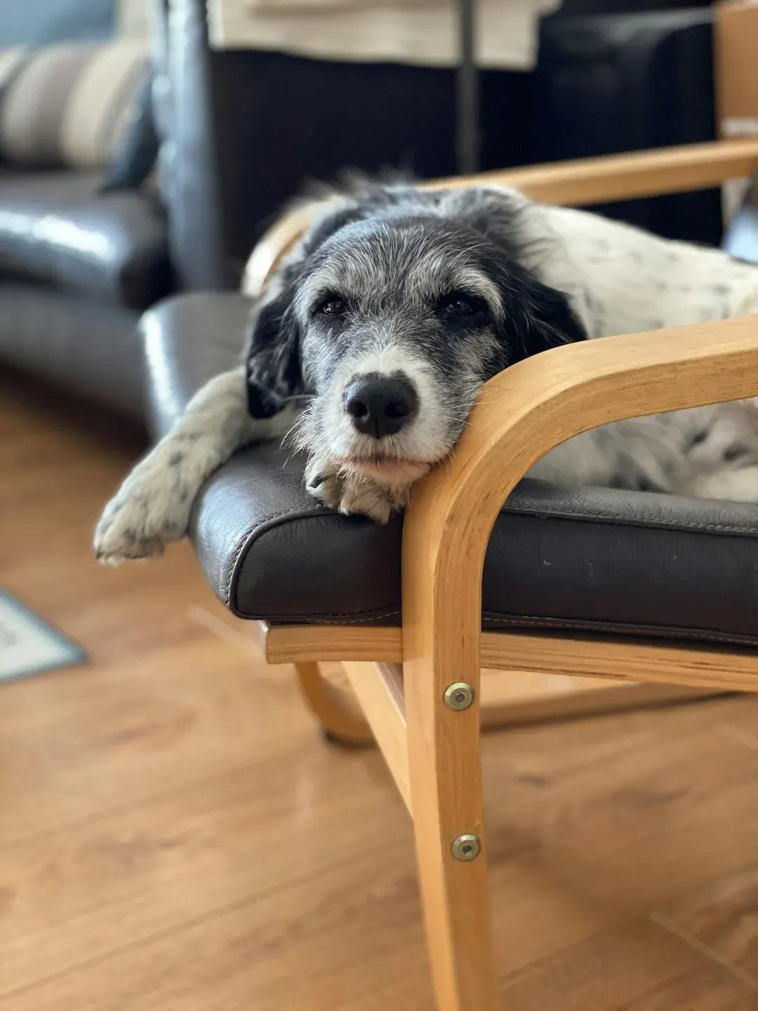 Excessive Sleeping or Lethargy (Image Credits: Unsplash)