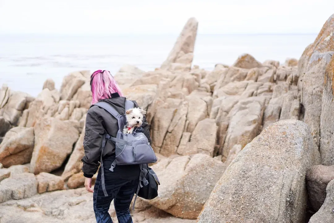 #11 - Which Backpack Means Treats (And Which Means Getting Ignored) (Image Credits: Unsplash)