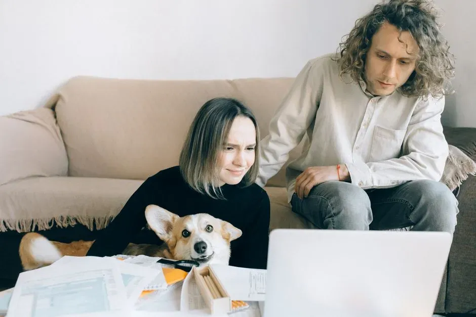 Your Work Life: Alpha Organizer, Creative Outlier, or Quiet Survivor? (Image Credits: Pexels)