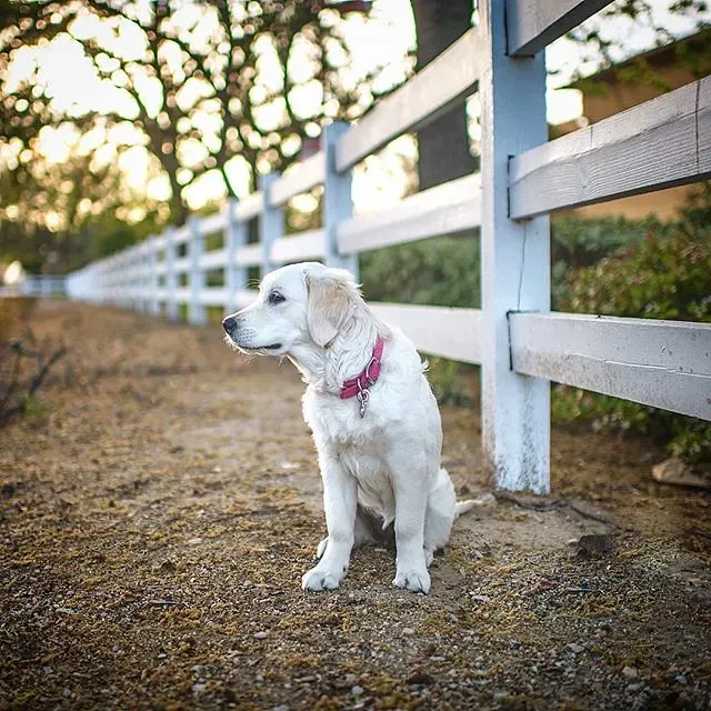 9. They Encourage Mindfulness and Present-Moment Awareness (Alex Beattie, Flickr, CC BY 2.0)