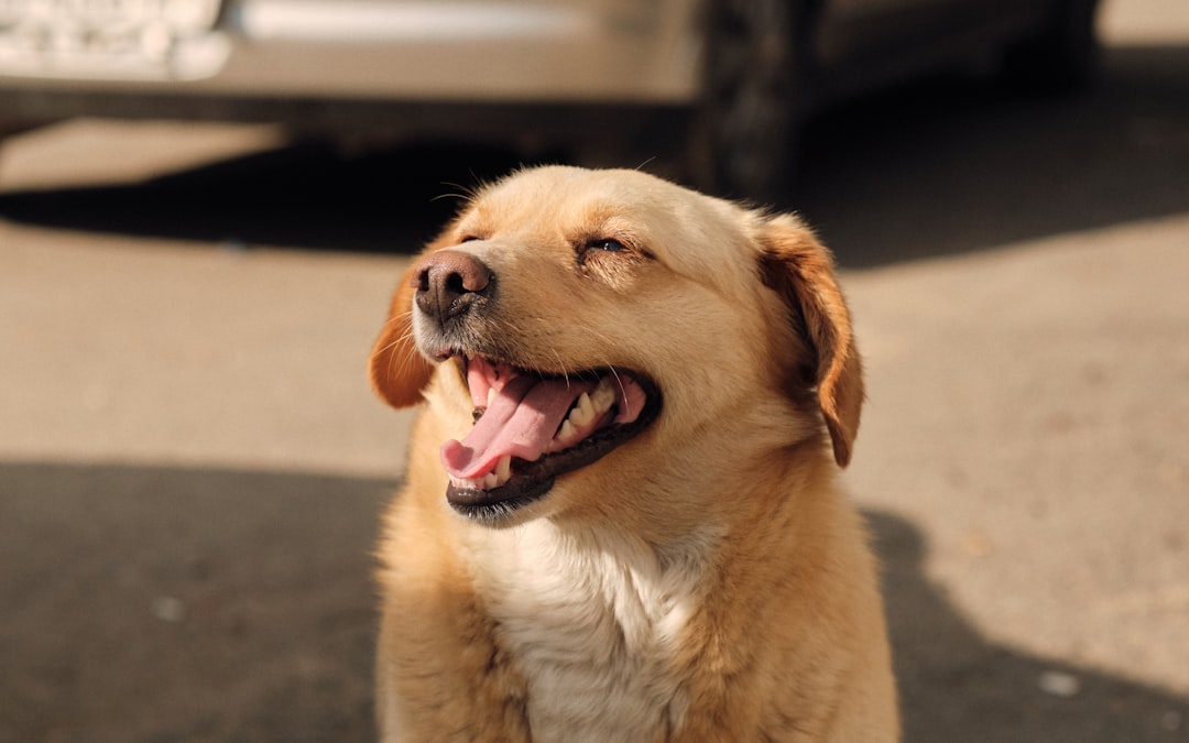 7. Contented Sighs and Soft Vocalizations (Image Credits: Unsplash)