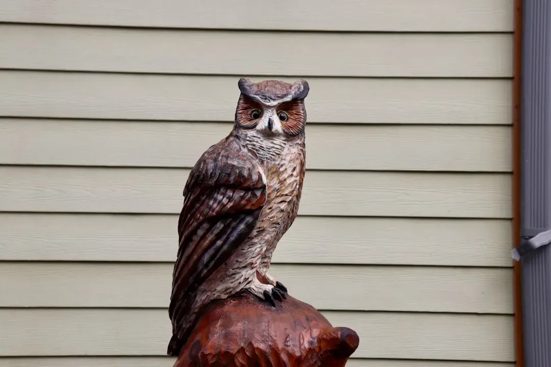 The Greek Connection: Athena's Sacred Companion (Image Credits: Unsplash)