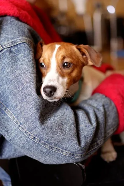 #6: The "Velcro Dog" Effect and What Breed Tells You (Image Credits: Pexels)