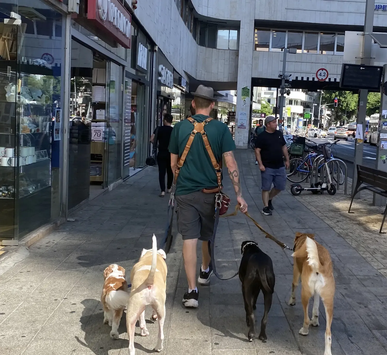 Understand How They Handle Stress and Anxiety in Dogs (Image Credits: Wikimedia)