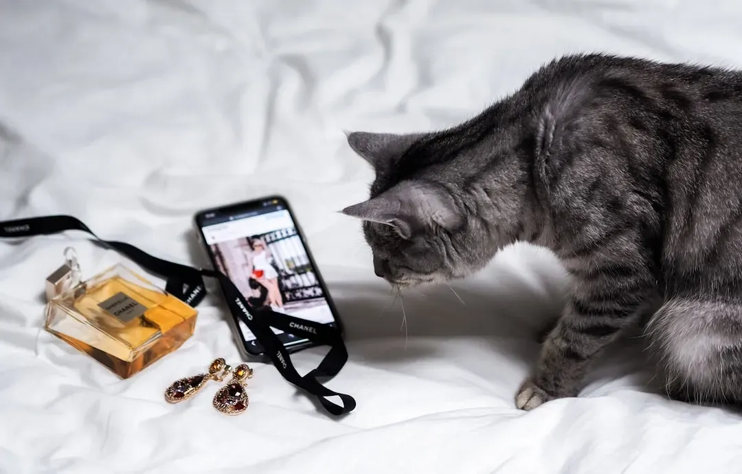 Sensory Cues Beyond Voice (Image Credits: Unsplash)