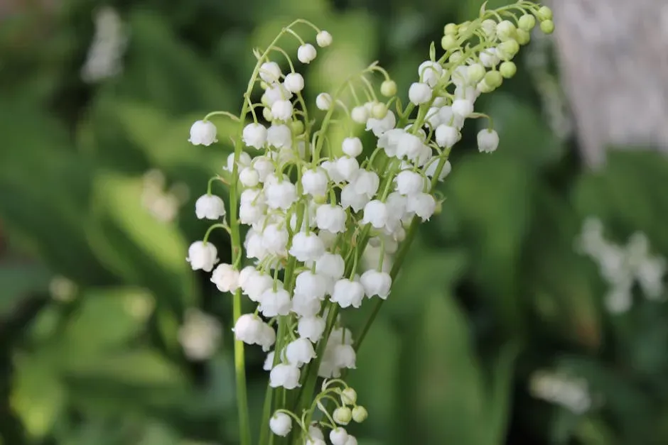 3. Lily of the Valley - Small Flowers, Big Threat (Image Credits: Pexels)