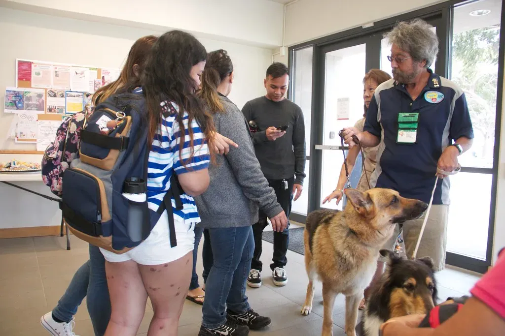 Frustration and Stress Are Clouding Communication (Image Credits: Flickr)