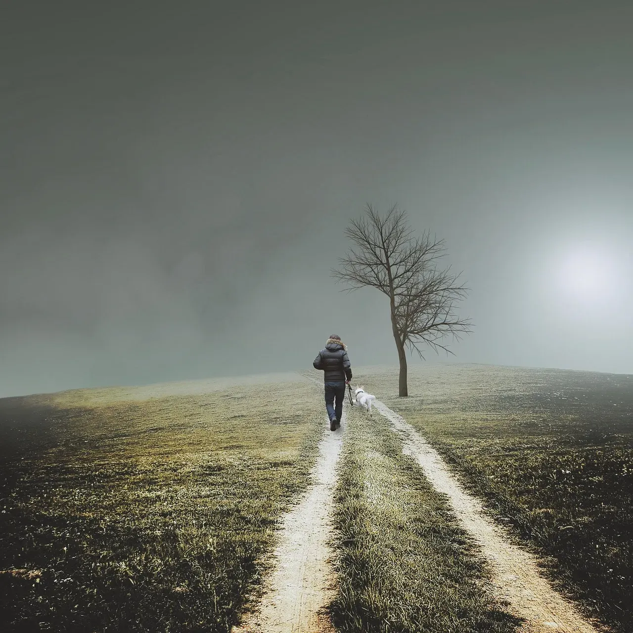 7. Seeking Solitude (Image Credits: Pixabay)