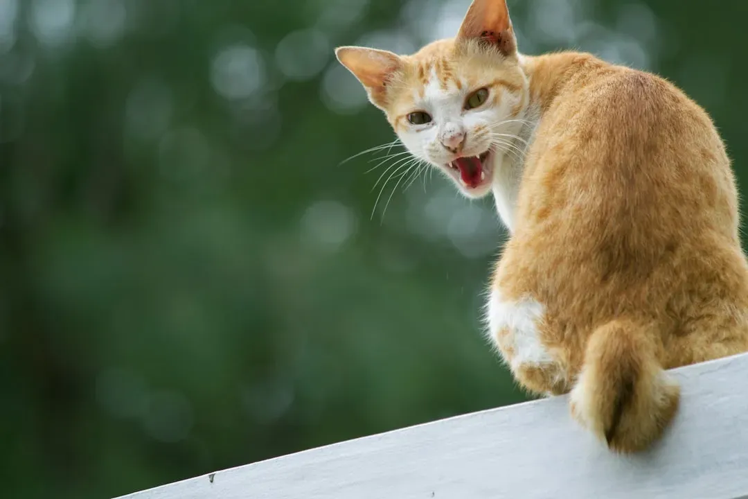 #4 - Dental Decay Hints at Skipped Checkups (Image Credits: Unsplash)