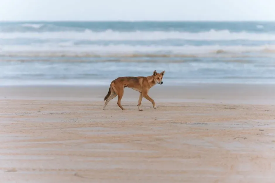 Territorial Defense: United We Stand (Image Credits: Pexels)