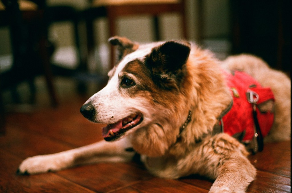 Conclusion (Image Credits: Flickr)