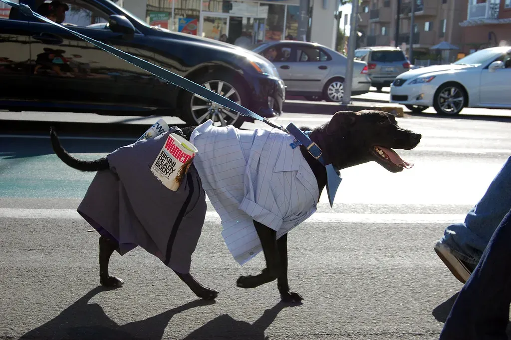 Conclusion (Image Credits: Flickr)