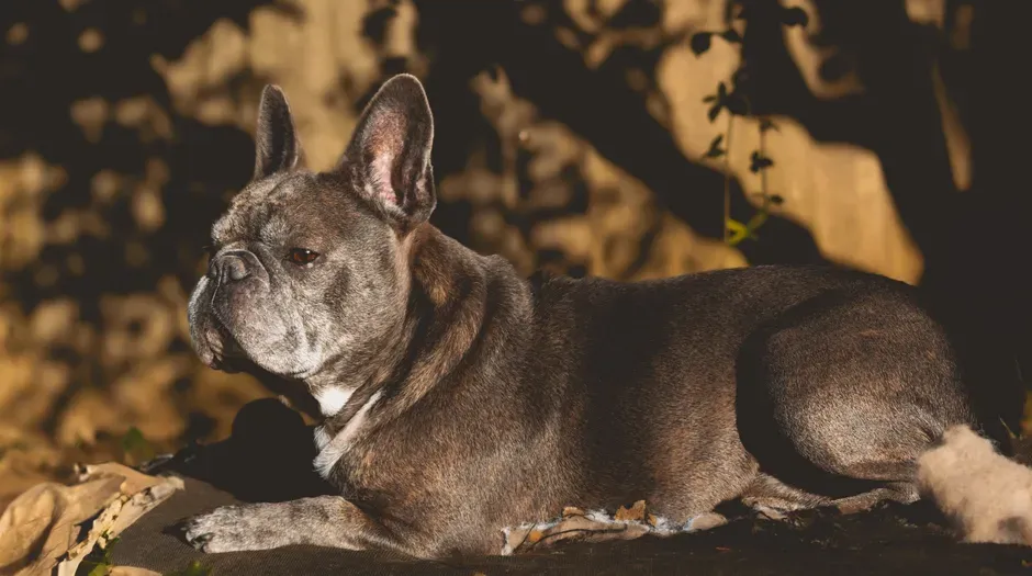 #14 - Treating a 10-Year Lifespan Like a Win (Image Credits: Pexels)