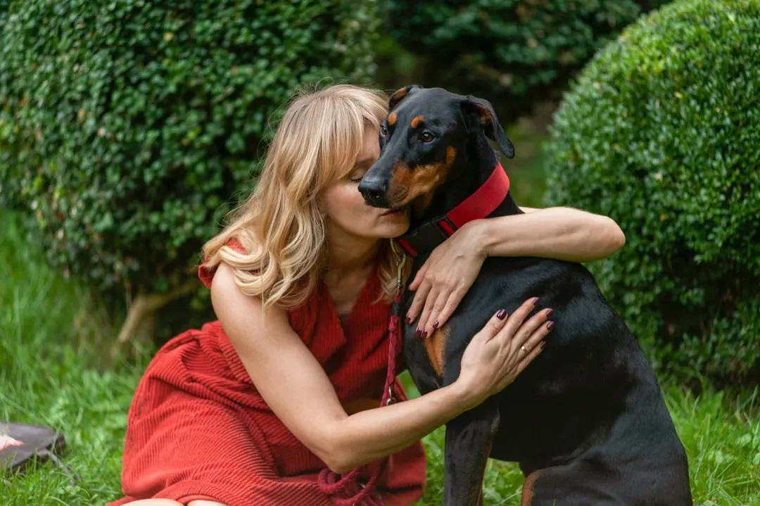 Doberman Pinscher: The Velcro Guardian With a Sensitive Side (Image Credits: Unsplash)