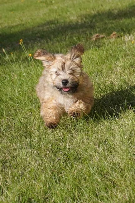 Conclusion: Embrace the Chaos, It's Pure Love (Image Credits: Pexels)