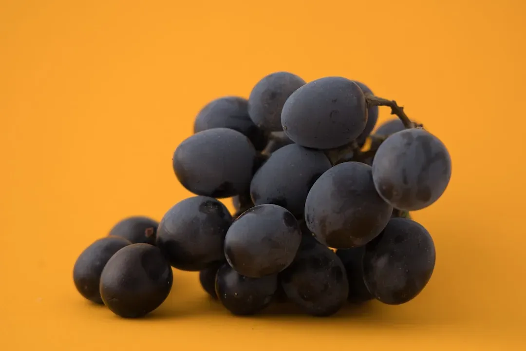 Your Grapes and Raisins in the Fruit Bowl (Image Credits: Unsplash)