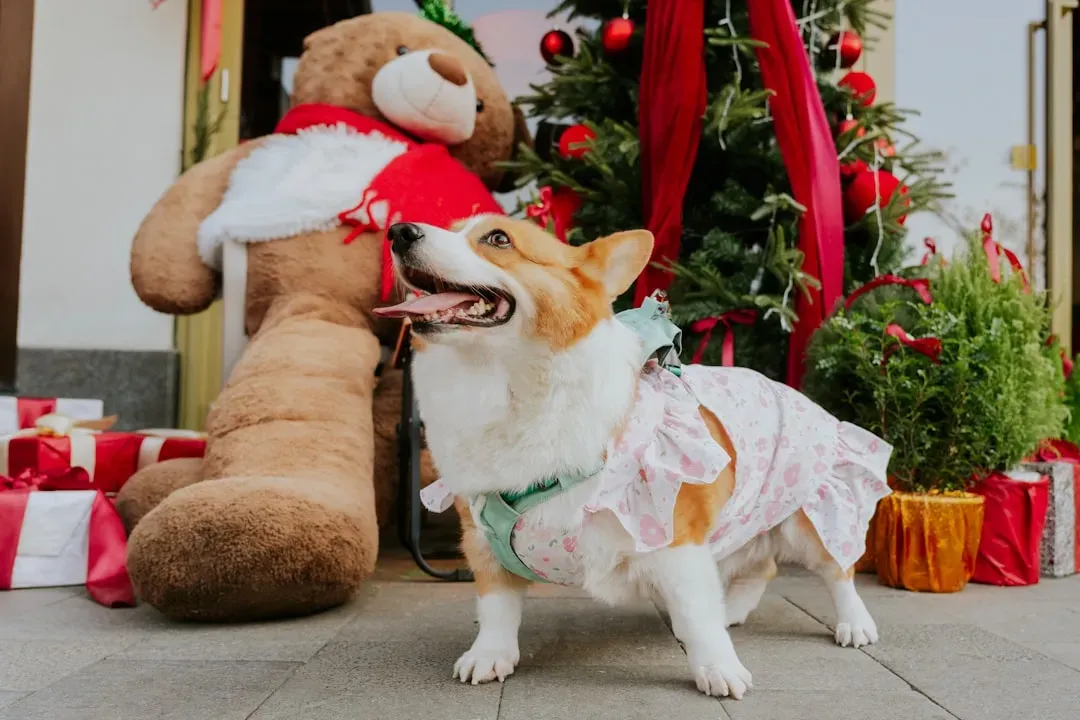 They Greet You Like You've Been Gone for Years (Image Credits: Unsplash)