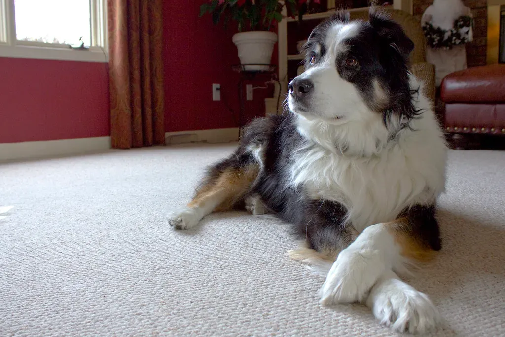 They Walk Out of the Room Like a Music Critic Leaving a Bad Show (Daniel P. Fleming, Flickr, CC BY-SA 2.0)