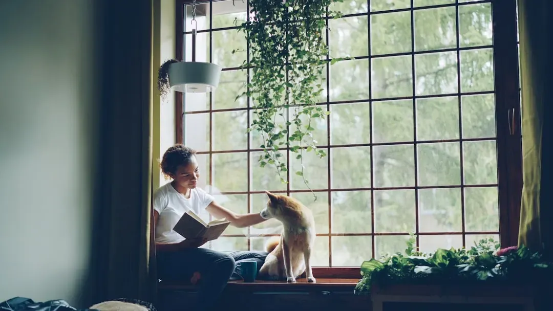 Final Thoughts: The Real “Apartment Dog” Is About Lifestyle, Not Size (Image Credits: Unsplash)