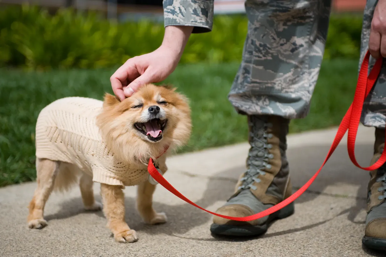 Your Energy Level Either Matches or Clashes With Theirs (Image Credits: Wikimedia)