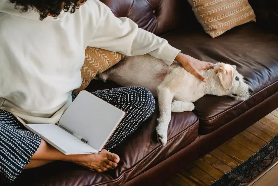 The Way You Offer Comfort (Image Credits: Pexels)