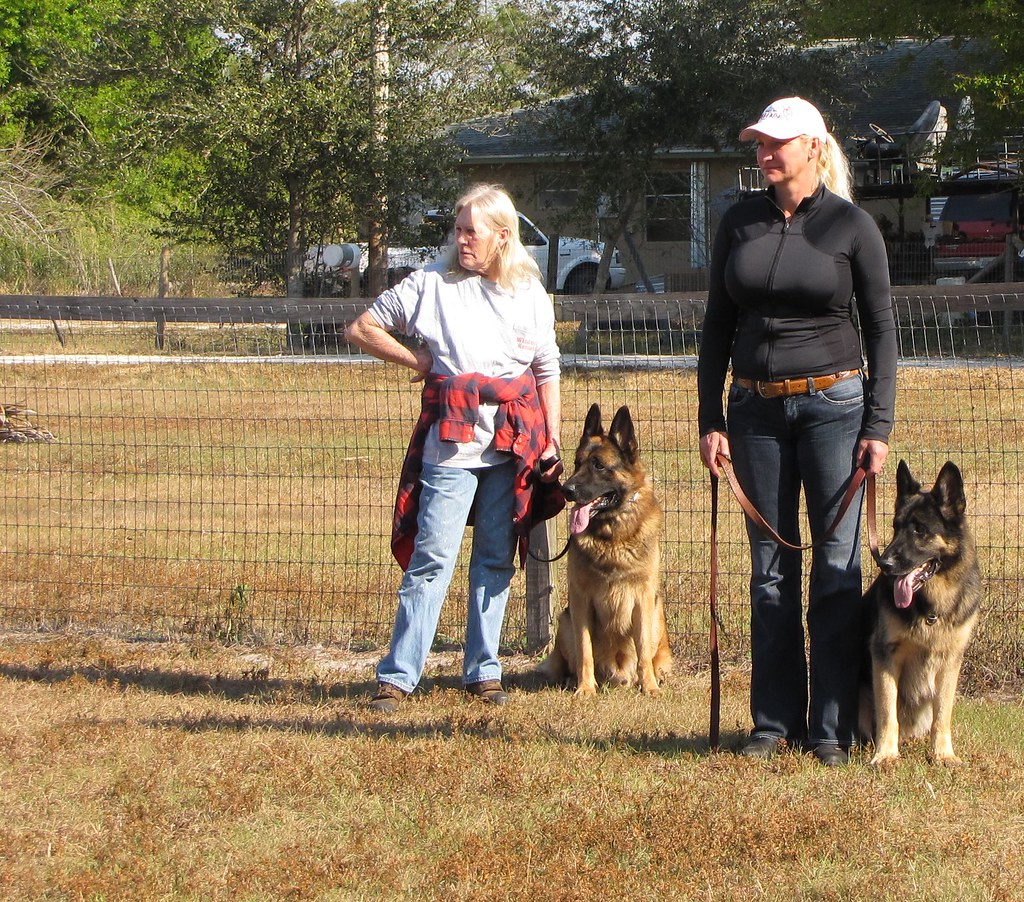Counterconditioning: Changing Emotional Associations (Image Credits: Flickr)