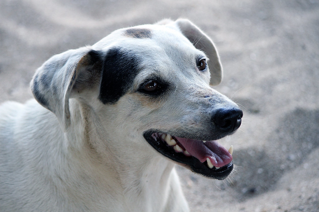 Conclusion (Image Credits: Flickr)