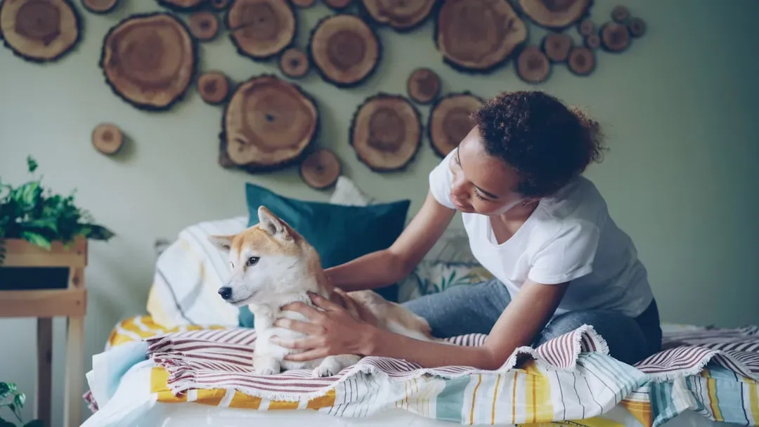 2. Start in a Place Your Dog Already Feels Safe (Image Credits: Unsplash)