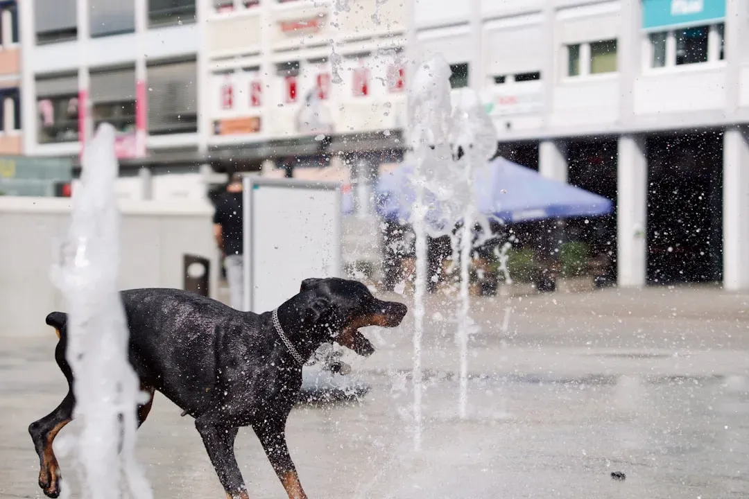 Smart Ways to Handle the Habit (Image Credits: Unsplash)