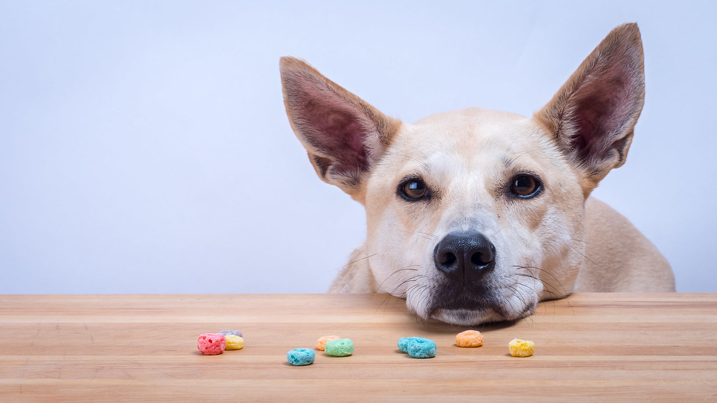 Hidden Dangers: What Parts to Avoid (Image Credits: Flickr)