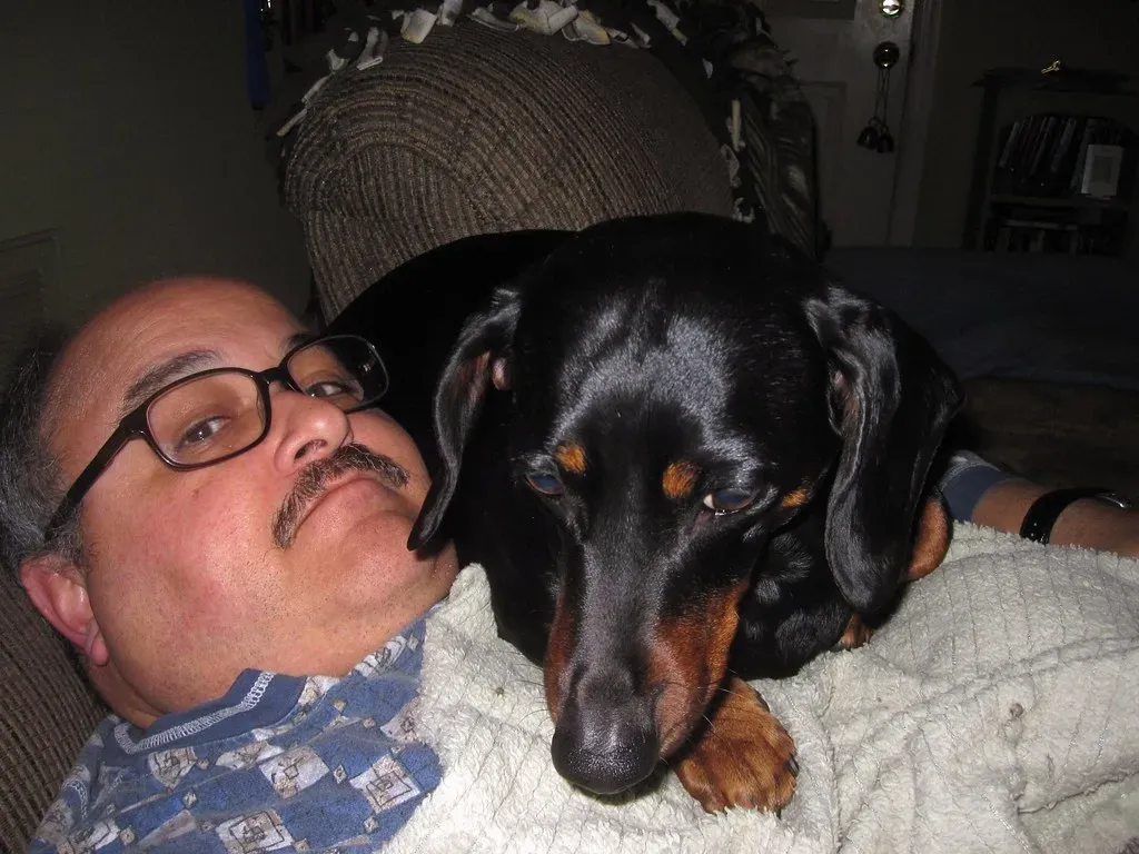 The Chest and Shoulders: Your Dog's Comfort Zone (Image Credits: Flickr)