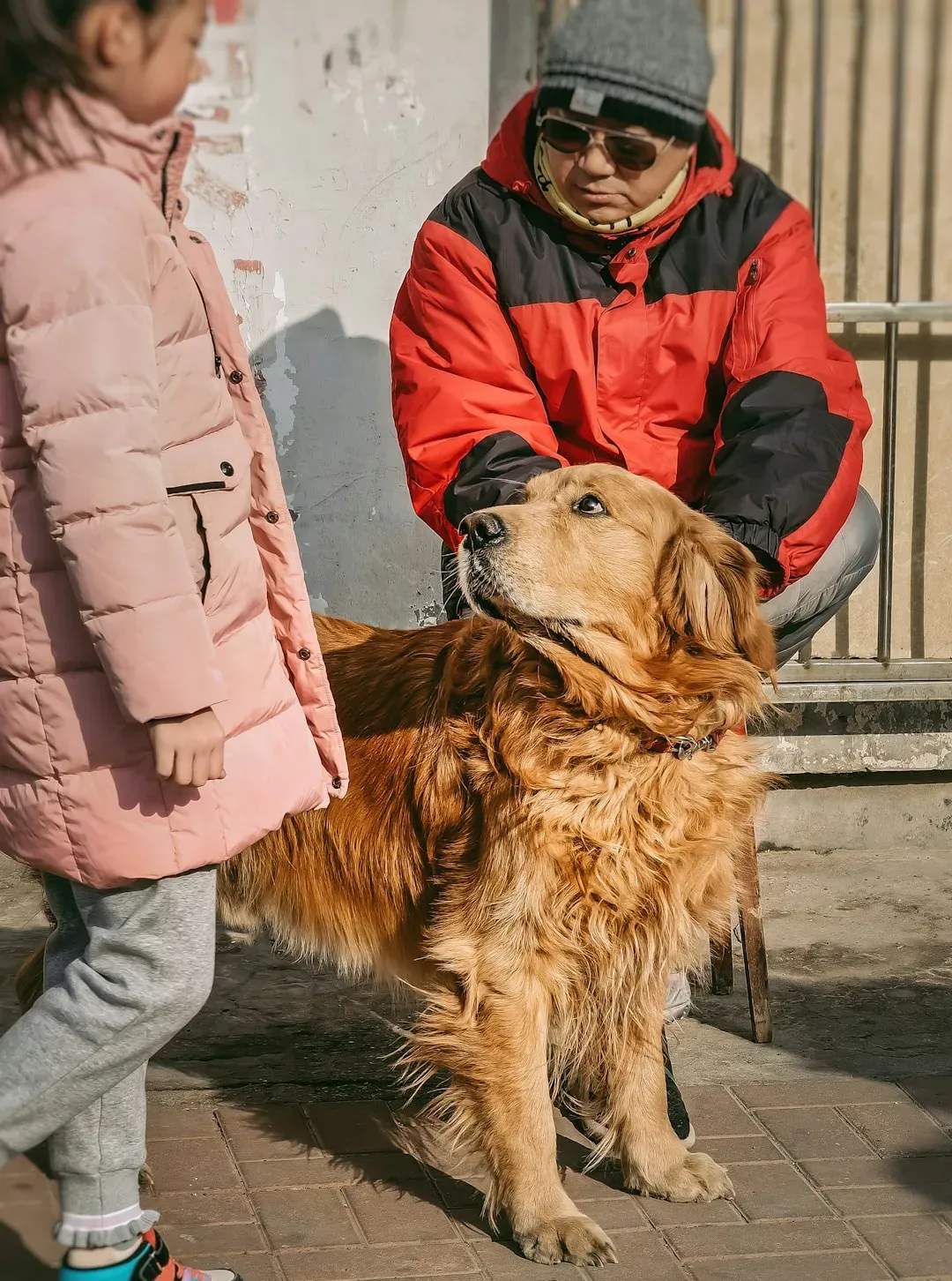 The Morning Greeting Ritual (Image Credits: Unsplash)