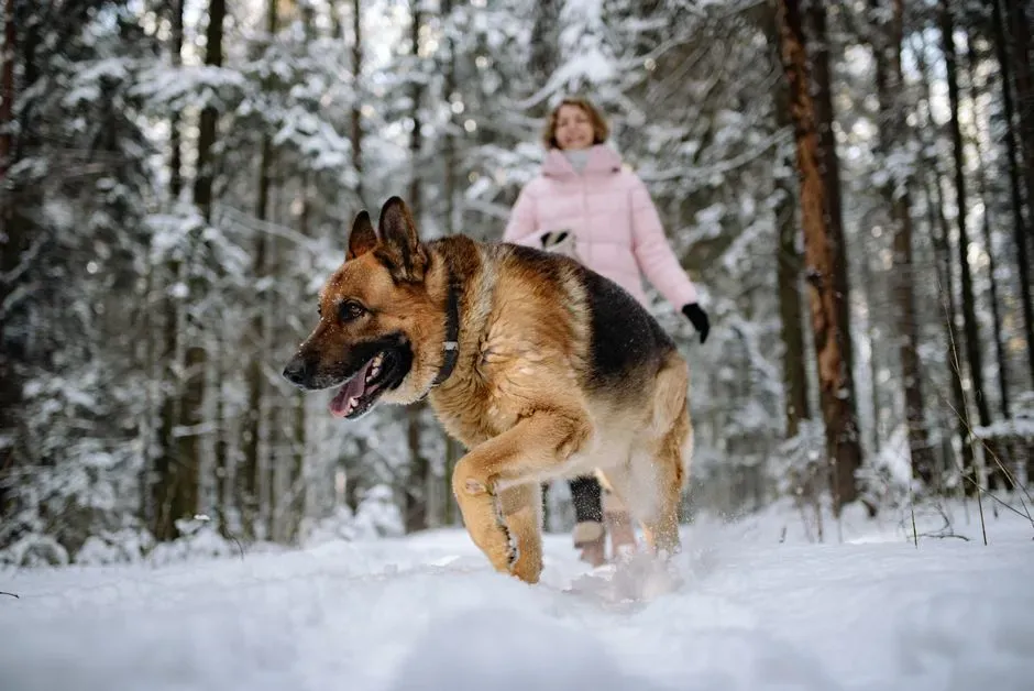 Exercise and Mental Stimulation: How Much Is “Too Much” for You? (Image Credits: Pexels)