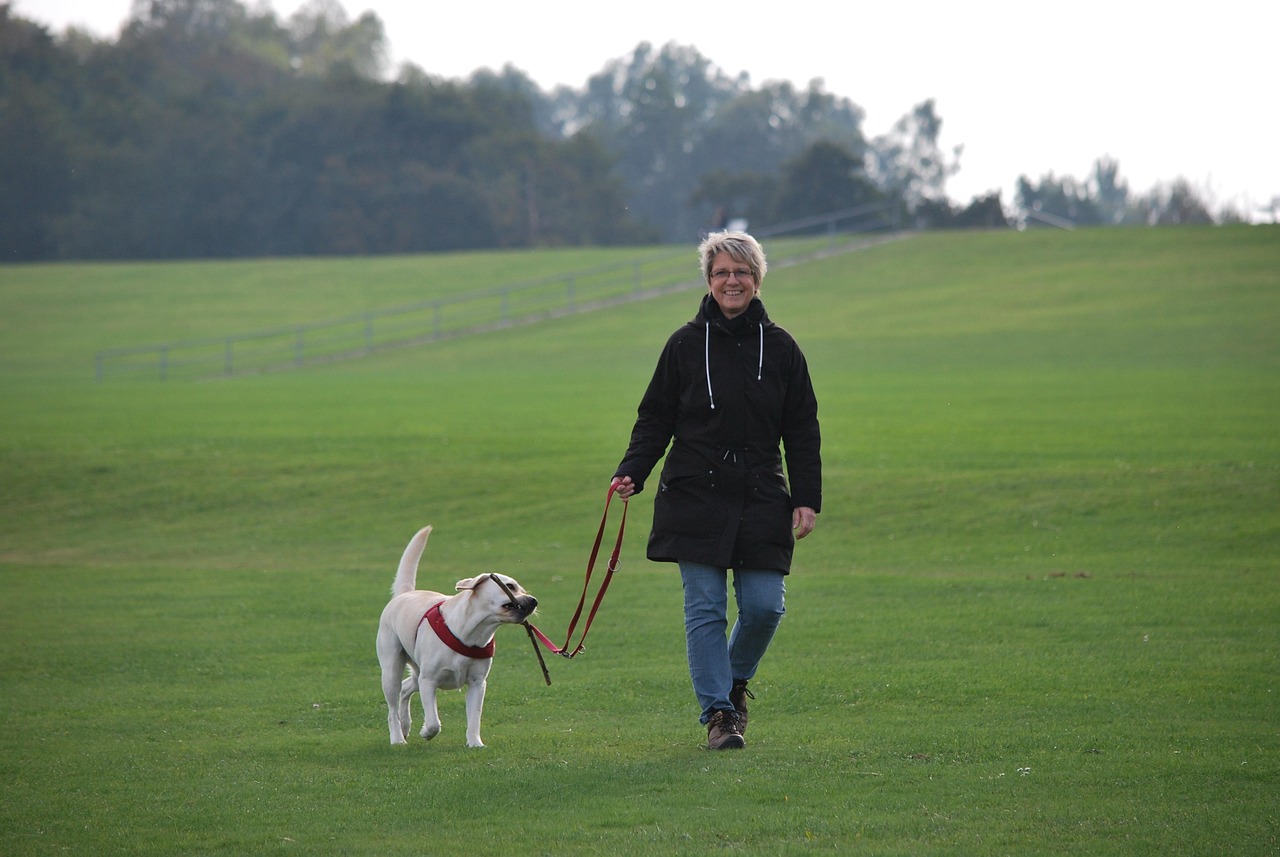 Checking In During Walks (Image Credits: Pixabay)