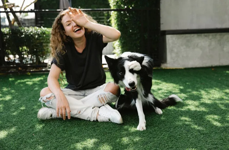 #8 - Flooding the Dog With High-Energy Pep Talks at Drop-Off (Image Credits: Pexels)
