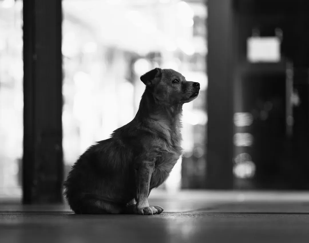 Hesitation Before Responding (Image Credits: Unsplash)