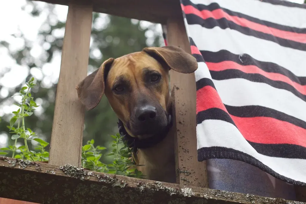 Sign 5: They Check on You Constantly (cogdogblog, Flickr, CC BY 2.0)