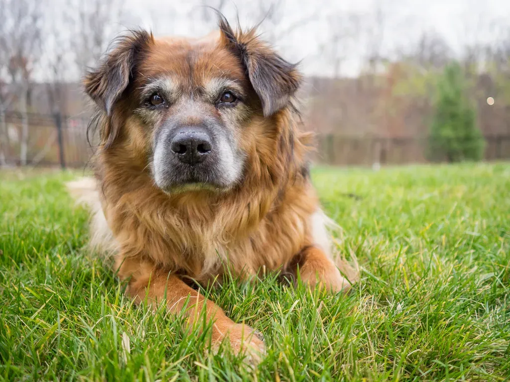 Avoidance and Turning Away (Image Credits: Flickr)