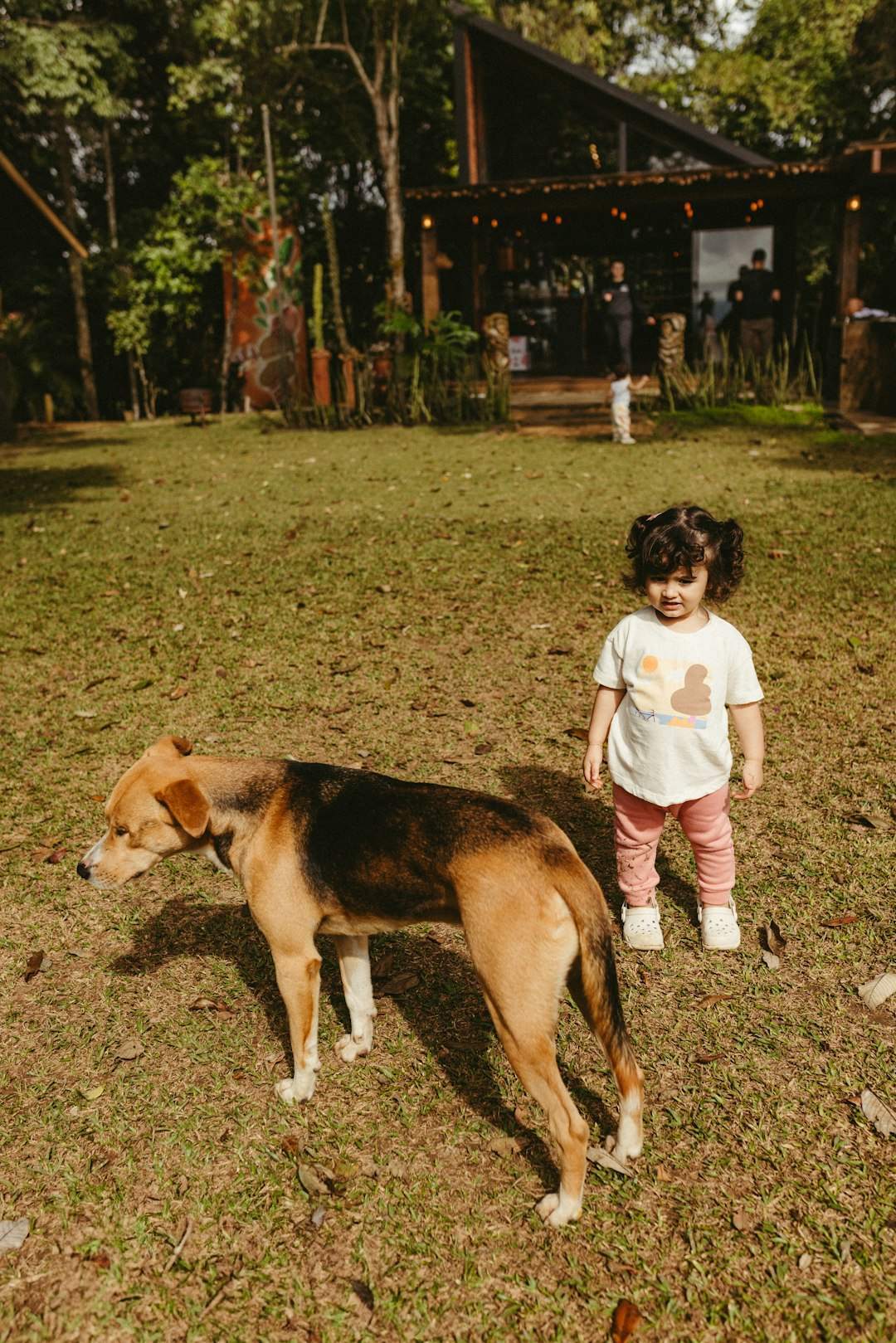 Movement Triggers the Instinct (Image Credits: Unsplash)