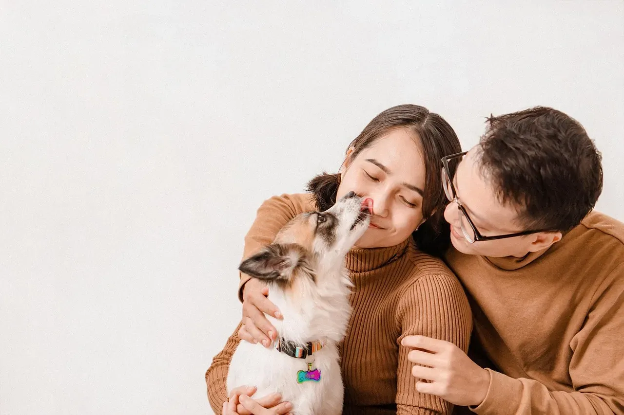 10. They Lick You Gently and Affectionately (Image Credits: Pixabay)